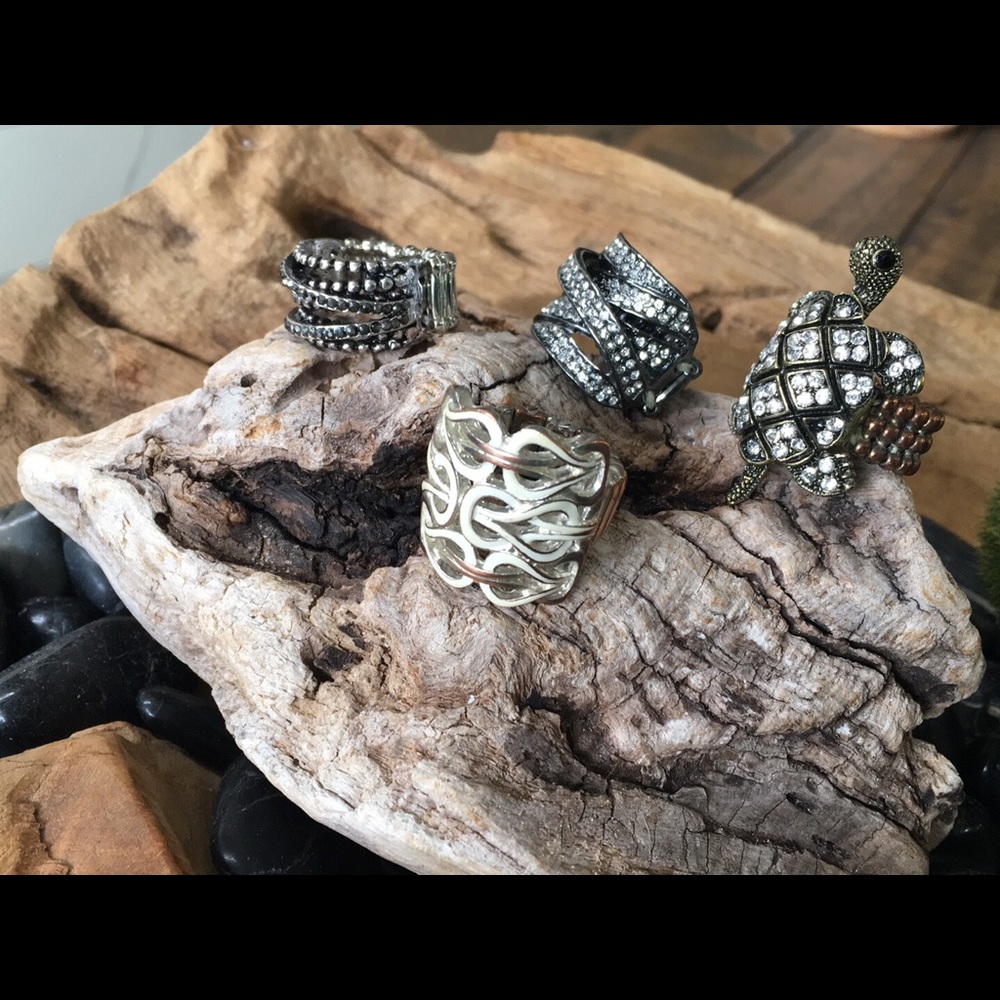 4 Elastic Rings